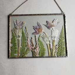 Pressed Pasque Flower Wall Art Glass Herbarium Frame, Dried Fern Decor - thumbnail 2