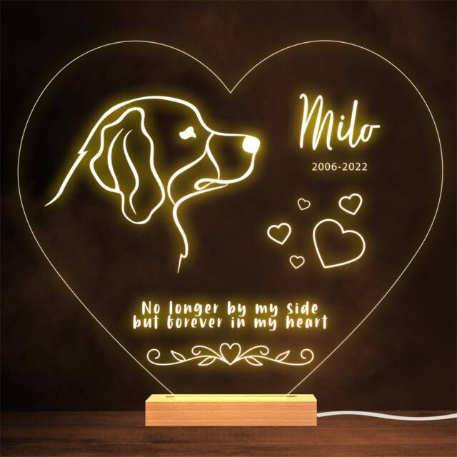 Bernese Mountain Dog Memorial Pet Loss Personalised Gift Warm Lamp Night Light - image 1