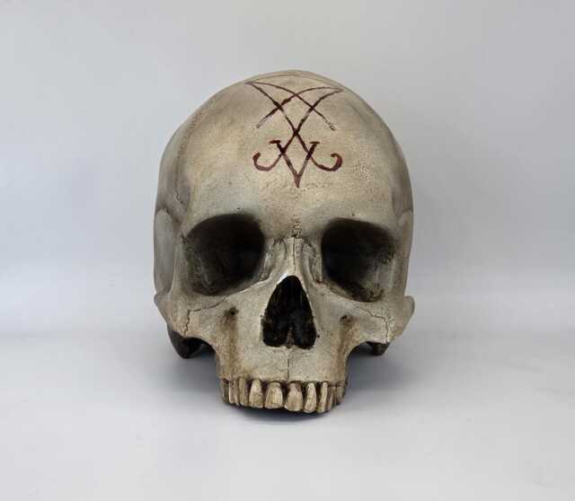 Lucifer. Plaster Of Paris Life Size Human Skull Replica - image 1