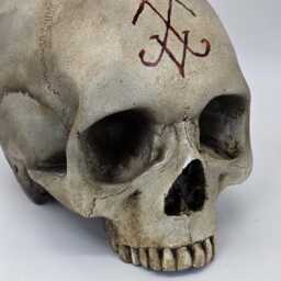 Lucifer. Plaster Of Paris Life Size Human Skull Replica - thumbnail 4