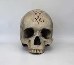 Lucifer. Plaster Of Paris Life Size Human Skull Replica - thumbnail 1