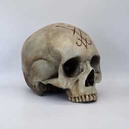 Lucifer. Plaster Of Paris Life Size Human Skull Replica - thumbnail 3