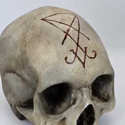 Lucifer. Plaster Of Paris Life Size Human Skull Replica - thumbnail 2