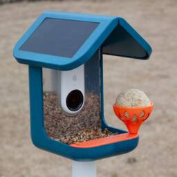 Suet Cup For Bird Buddy & 2 Bird Feeder - With Stainless Steel Screw - thumbnail 4