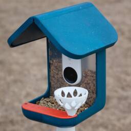 Suet Cup For Bird Buddy & 2 Bird Feeder - With Stainless Steel Screw - thumbnail 3