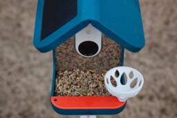 Suet Cup For Bird Buddy & 2 Bird Feeder - With Stainless Steel Screw