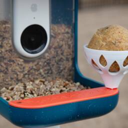 Suet Cup For Bird Buddy & 2 Bird Feeder - With Stainless Steel Screw - thumbnail 2