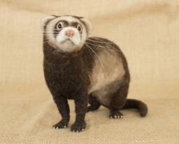 Made To Order Needle Felted Ferret Custom Needle Felted Animal Sculpture