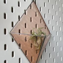 stained Glass Air Plant Holder, Tillandsia Wall Planter, 3D Peachy Pink Hanging Living Room Ideas, Lover Gifts - thumbnail 3