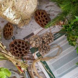 Christmas Wreath Making Kit. Festive Holiday Door Wreath. Workshop in A Box Including Fresh Greenery, Pine Cones & Instructions - #i - thumbnail 3