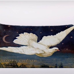 Night Moon Dove - Can Be Customizeable Personlized -Cushion Cover Case Or Stuffed With Insert - thumbnail 2