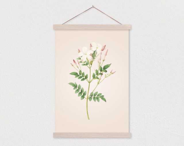 Poster Hanger-White Wildflower Vintage Botanical Drawing Canvas Print With Wood Hanger-Botanical Print - Flat - image 1