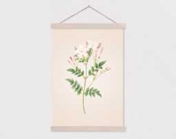 Poster Hanger-White Wildflower Vintage Botanical Drawing Canvas Print With Wood Hanger-Botanical Print - Flat - thumbnail 1