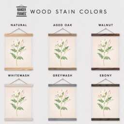 Poster Hanger-White Wildflower Vintage Botanical Drawing Canvas Print With Wood Hanger-Botanical Print - Flat - thumbnail 3