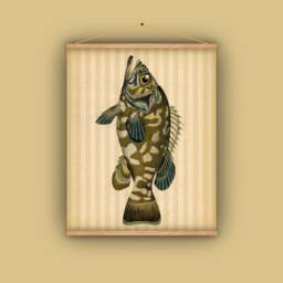Fish, Poisson, Wall Hanging, Pull Down Chart, Natural History, Antique Image, Outdoorsman, Vintage, Hunter, Gift For Him, Fisherman, 1800S - thumbnail 1