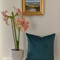 Teal Velvet Cushion Cover Square 45x45 cm, Rectangle 52x32 cm - Mallard Teal, Velvet Interiors, Soft Furnishings, Home Decor, Handmade - thumbnail 2