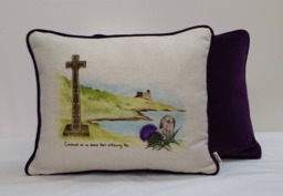 Handmade Cushion Using Our Own Artwork, Backed With Velvet - thumbnail 1