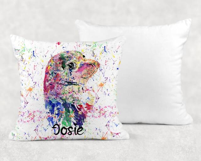 Personalised Watercolour Rainbow Seal Cushion, Cuddle Pillow, Birthday Gift - image 1