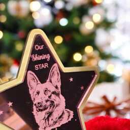 Personalised German Shepherd Tree Topper, Christmas Shepherd, Dog Memorial Topper - thumbnail 3