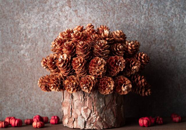 Eco Christmas Tree, Mini Organic Wood Sustainable Decor, Natural Decorations, Shelf Decor - image 1