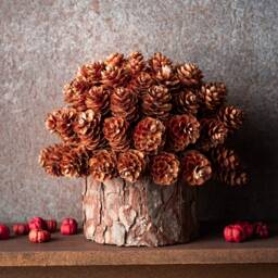 Eco Christmas Tree, Mini Organic Wood Sustainable Decor, Natural Decorations, Shelf Decor - thumbnail 2