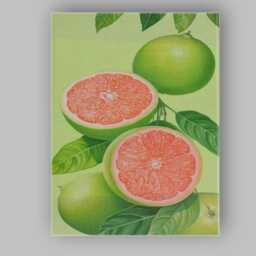 Pink Grapefruit Citrus Botanical Illustration Canvas Wall Art Print Decor Picture Ready To Hang - thumbnail 1