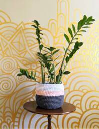 Handmade Crochet Plant Pot Cover - Ready To Ship - thumbnail 1