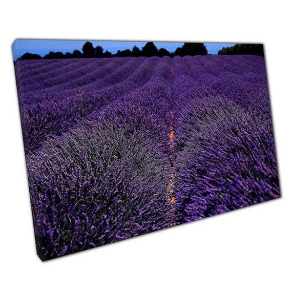 Vibrant Lavender Field Canvas Art Ready-To-Hang Wall Decor For Home & Office Spaces - image 1