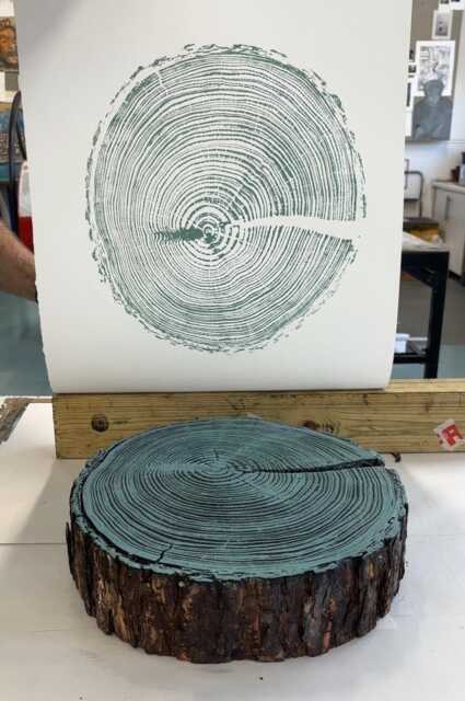Blue Tree Ring Print, English Larch, Larch Large Woodcut Print, Slice Log Wood Print - image 1