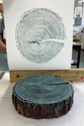 Blue Tree Ring Print, English Larch, Larch Large Woodcut Print, Slice Log Wood Print - thumbnail 1