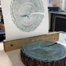 Blue Tree Ring Print, English Larch, Larch Large Woodcut Print, Slice Log Wood Print - thumbnail 2