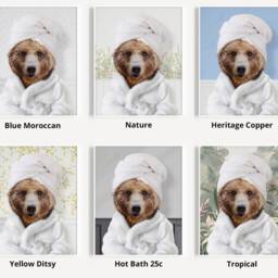 Bear in A Bathrobe Print, Bathing, Funny Bathroom Animal With Towel On Head, Grizzly Brown Bath Robe, Whimsy - thumbnail 3