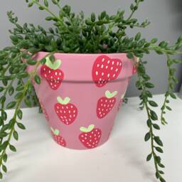 stawberry Pink Hand Painted Terracotta Plant Pot, Indoor Plants, Home Custom Pots - thumbnail 2