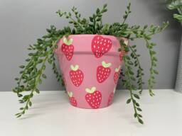 stawberry Pink Hand Painted Terracotta Plant Pot, Indoor Plants, Home Custom Pots - thumbnail 1