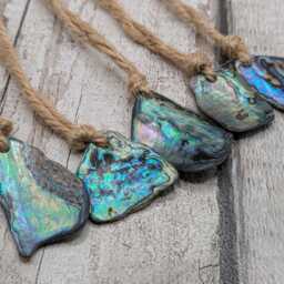Set Of Five Wild New Zealand P??ua Shell Ornaments - Natural Beach-Combed Abalone Decorations On Jute Cord For Yule Christmas Trees - thumbnail 2
