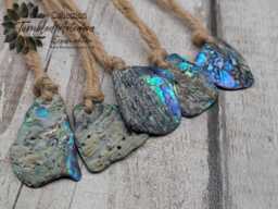 Set Of Five Wild New Zealand P??ua Shell Ornaments - Natural Beach-Combed Abalone Decorations On Jute Cord For Yule Christmas Trees