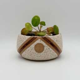 Ceramic Planter With Triangle & Circle Design - 5 Inch Brown White Stripe Speckled Stoneware Pot Drainage - thumbnail 1