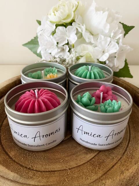 Succulent Tin Candles - Decorative Gifts Birthday Christmas For Her Friendship Handmade Soy Wax Strong Scented - image 1