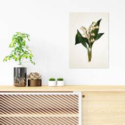 Antique Botanical Art Print Poster Vintage Wall Flowers Floral Lily Of The Valley Nature Leaf Plant Illustration Victorian Beautiful A3 - thumbnail 2