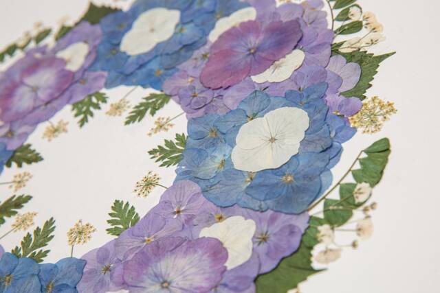 Pressed Real Flowers Framed Artwork, Handmade Home Decor, Original Wall Art, Floral Art in Frame & Mounted, Herbarium, Gifts - image 1