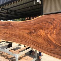 Live Edge Dining Table Acacia Wood Solid Slab Length Design C11 , Long 350cm - thumbnail 2