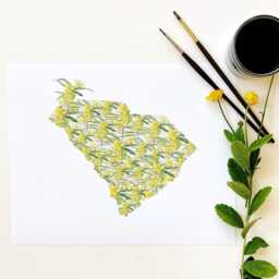 South Carolina State Flower Map Watercolor Yellow Jessamine - Art Print Floral Mothers Day Gift Wall Grad Wedding Realtor Moving - thumbnail 2