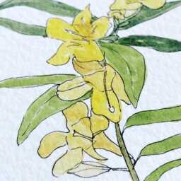 South Carolina State Flower Map Watercolor Yellow Jessamine - Art Print Floral Mothers Day Gift Wall Grad Wedding Realtor Moving - thumbnail 3