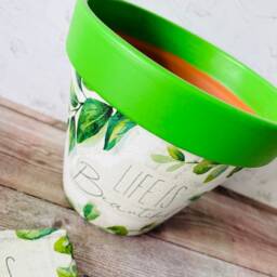 Nature Plant Pot & Natural Coasters Decor Life Is Beautiful Positive Gifts Decorations - thumbnail 3