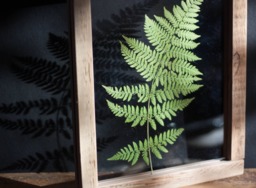 The Magic Of Fern - Large Wall Decor 10.5x12.5 - thumbnail 1