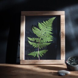 The Magic Of Fern - Large Wall Decor 10.5x12.5 - thumbnail 2