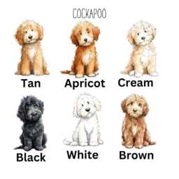 Personalised Cockapoo Definition Print - thumbnail 2