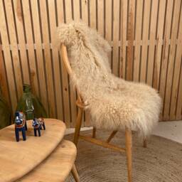 Luxury Tibetan Sheepskin in Cream Champagne Colour - thumbnail 3