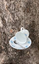 Teacup Bird Or Butterfly Feeder