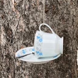 Teacup Bird Or Butterfly Feeder - thumbnail 4